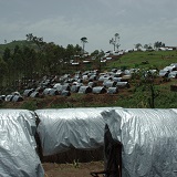 Emergency Aid